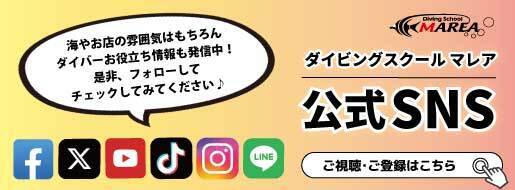 SNS｜名古屋/栄でダイビングライセンスを取得｜ダイビングスクール マレア池袋店